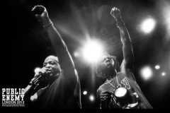 Bunny Photography Work